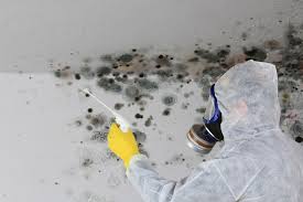 Professional Mold Remediation in Village Shires, PA